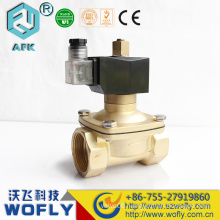 Normal Open Water Solenoid Valve